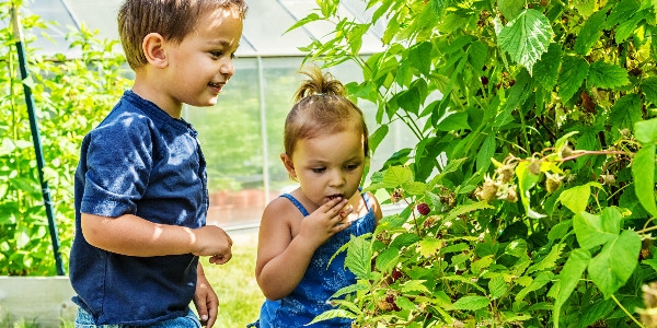 toxiciteit kraai bladeren Speciale voeding voor kinderen | gezondmooislank.nl